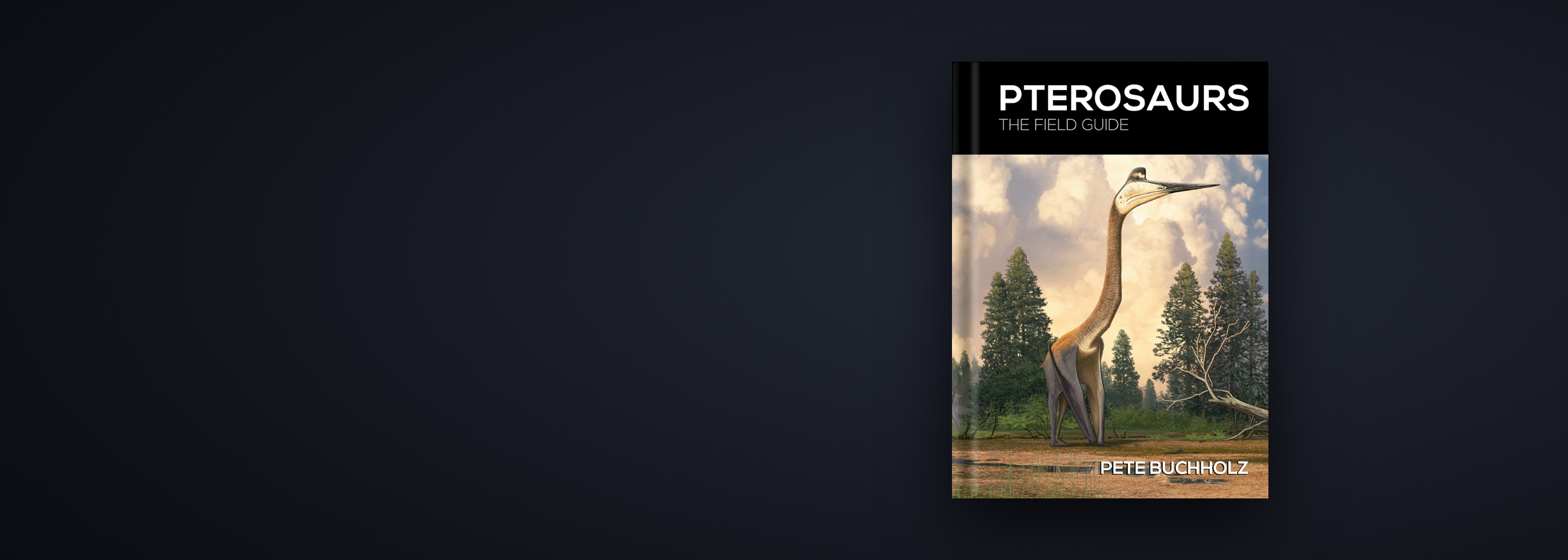 252MYA homepage hero, Pterosaurs The Field Guide, desktop 2800x1000