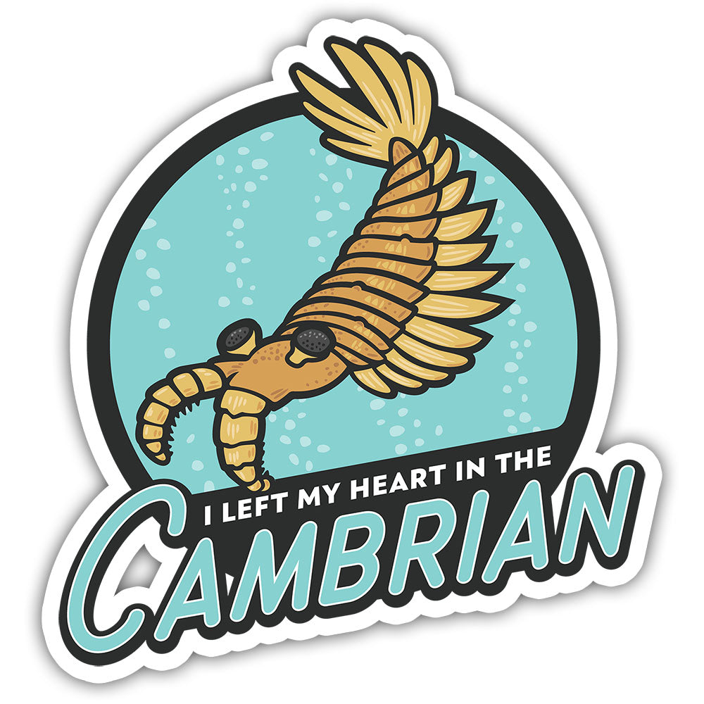 I Left My Heart in the Cambrian sticker