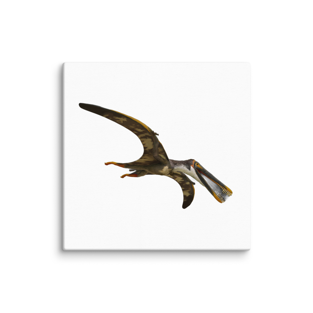 Boreopterus giganticus — Canvas 12×12
