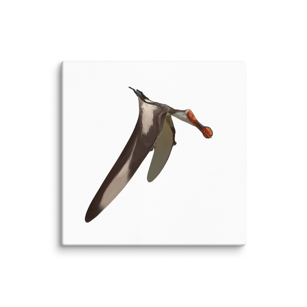 Nicorhynchus fluviferox canvas
