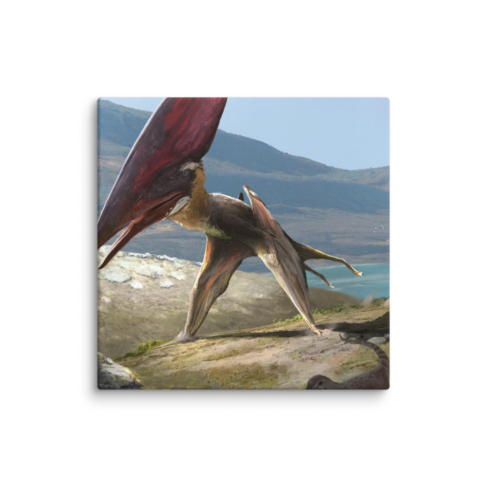 Thalassodromeus Chase — Canvas 12×12