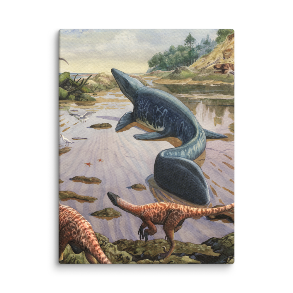 Mosasaurus — Canvas 12×16