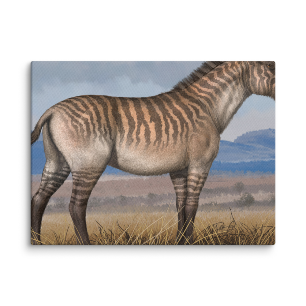 Equus (Allohippus) sanmeniensis — Canvas 12×16