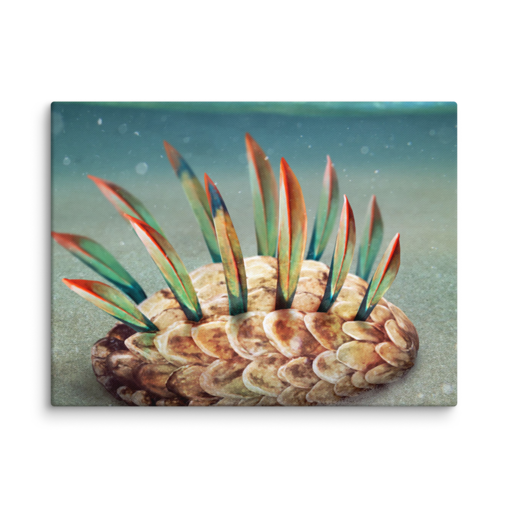 Wiwaxia sp. — Canvas 12×16