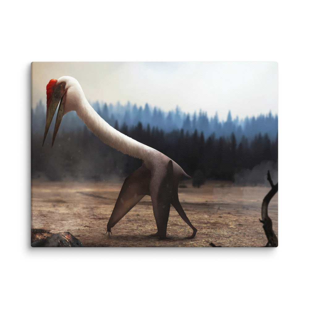 Quetzalcoatlus northropi — Canvas 12×16