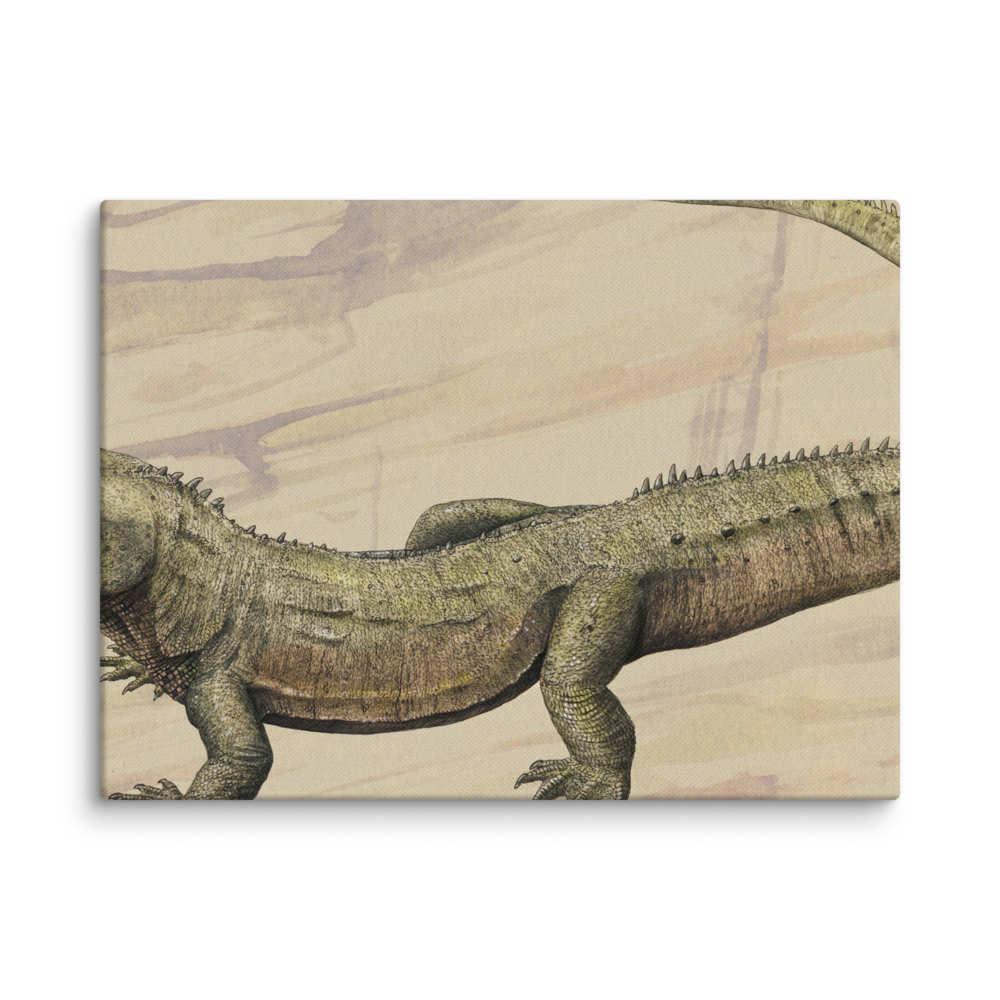 Oenosaurus muehlheimensis — Canvas 12×16