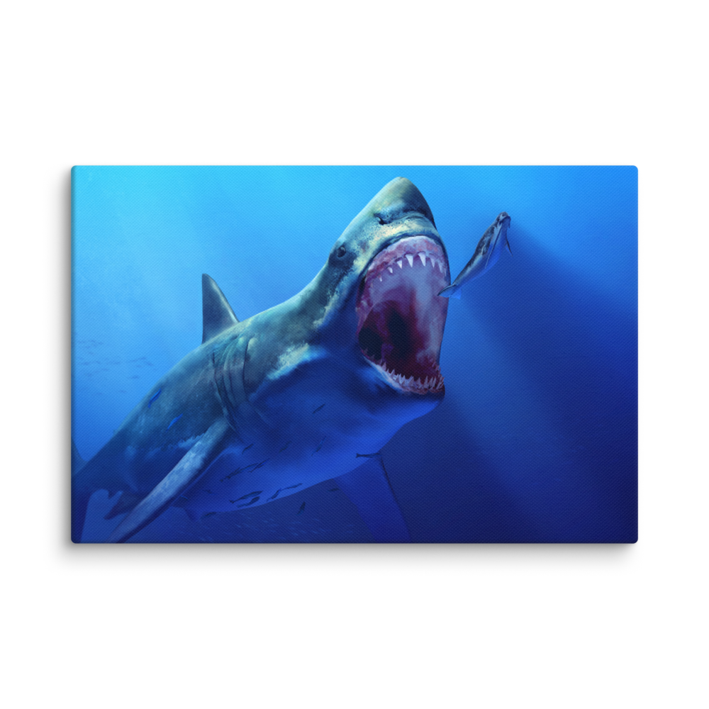 Megalodon — Canvas 12×18