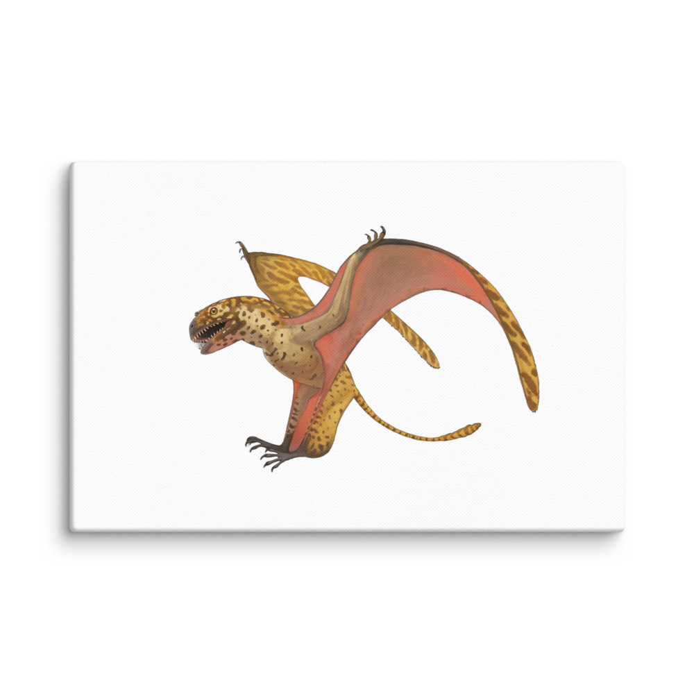 Dimorphodon Weintraubi canvas