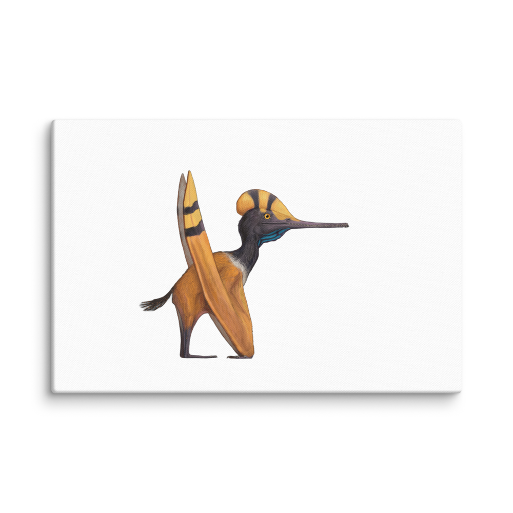 Otogopterus haoae canvas
