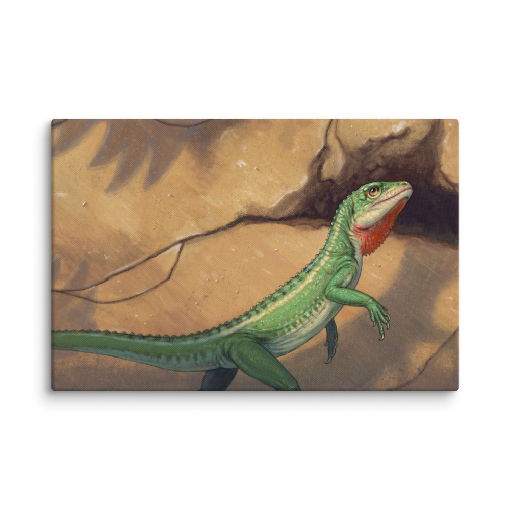 Eudibamus — Canvas 12×18