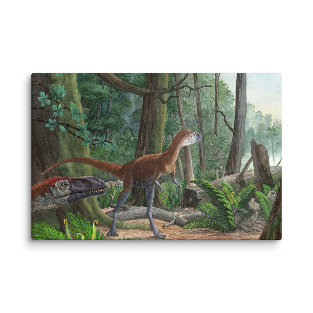 Dilong - Morning in the Chinese Forest canvas