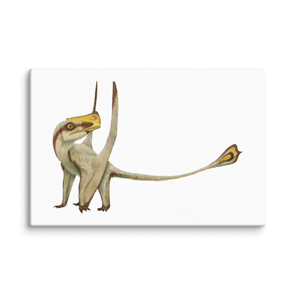 Austriadactylus cristatus canvas