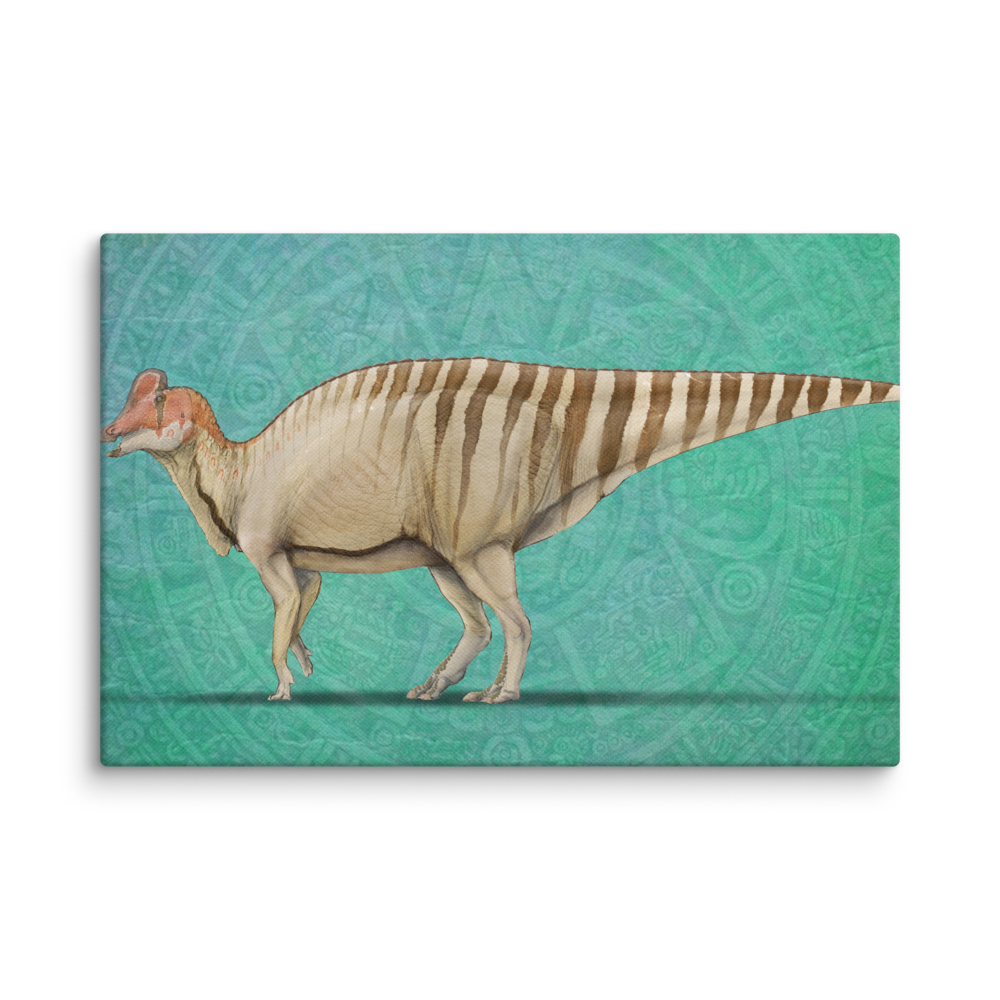 Velafrons coahuilensis canvas