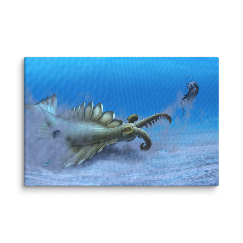Anomalocaris sp. canvas