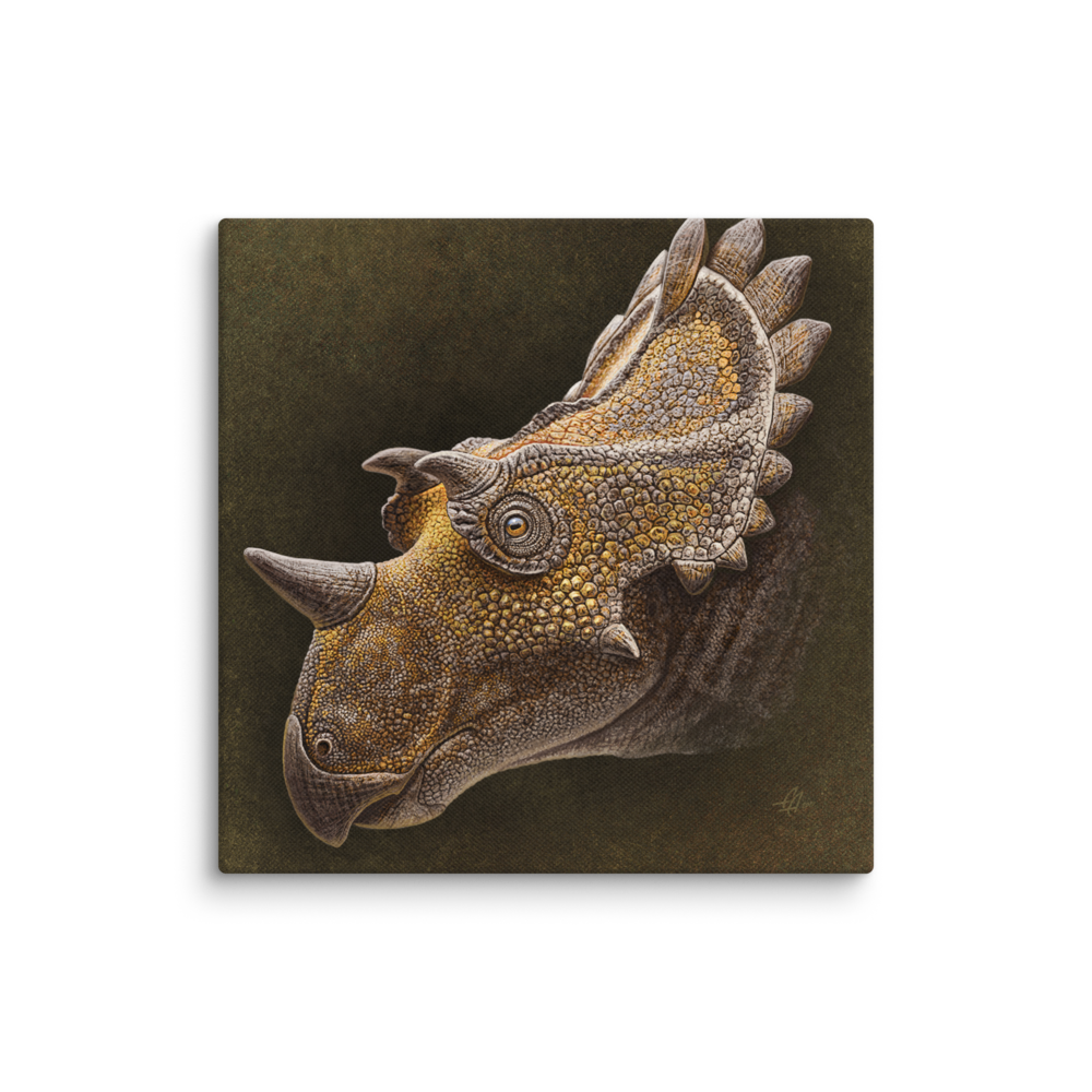 Regaliceratops — Canvas 14×14