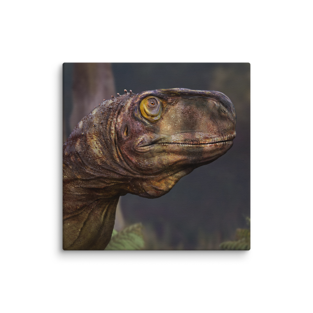 Llukalkan Head — Canvas 14×14