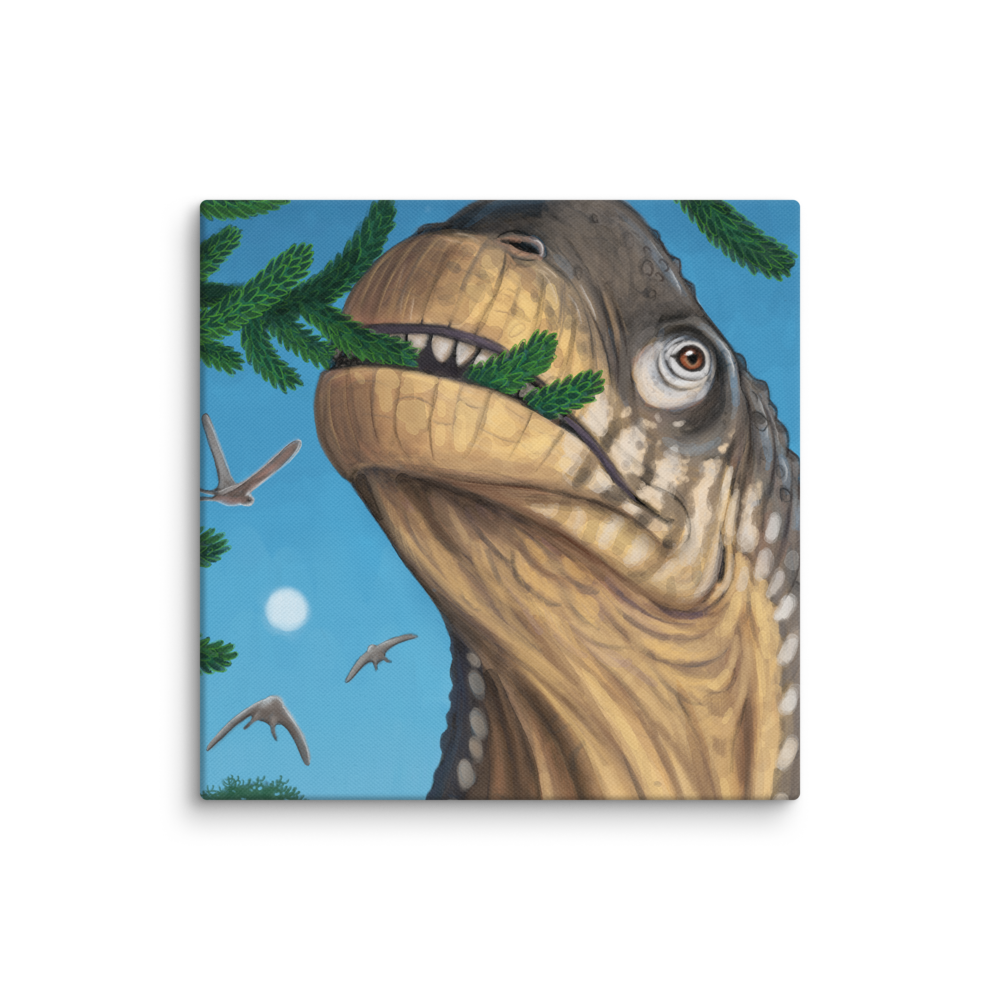Camarasaurus Close-up — Canvas 14×14