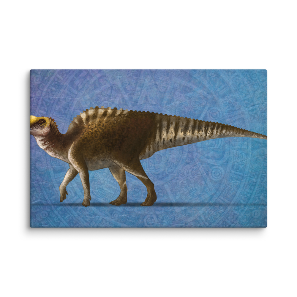Latirhinus uitstlani — Canvas 16×24