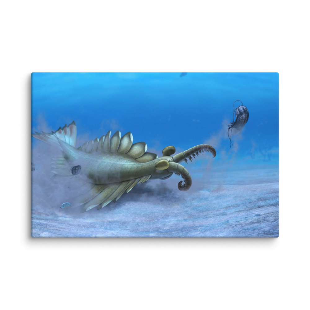 Anomalocaris sp. — Canvas 16×24