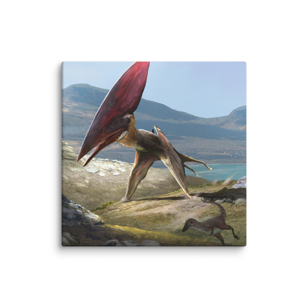 Thalassodromeus Chase — Canvas 18×18