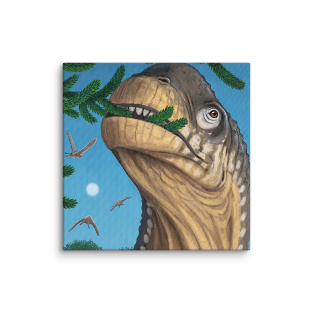 Camarasaurus Close-up — Canvas 18×18