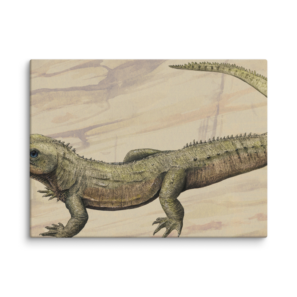 Oenosaurus muehlheimensis — Canvas 18×24