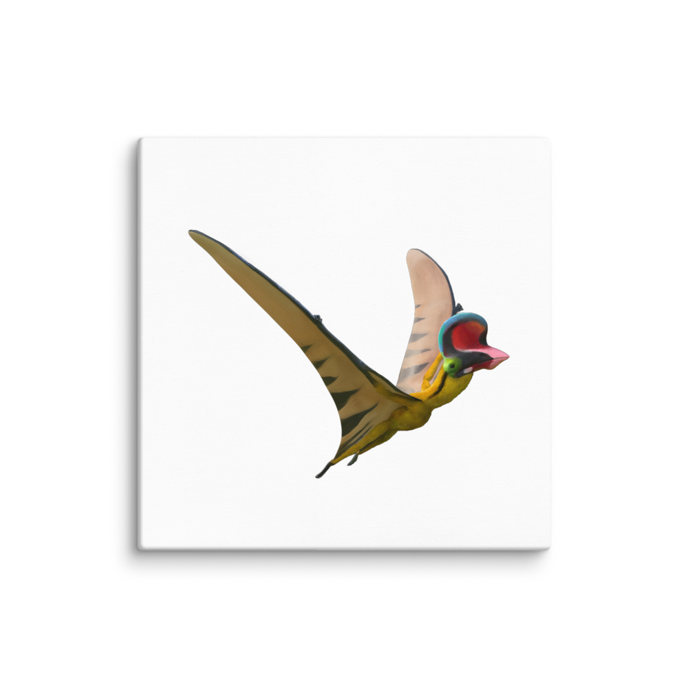 Sinopterus colloratus — Canvas 20×20