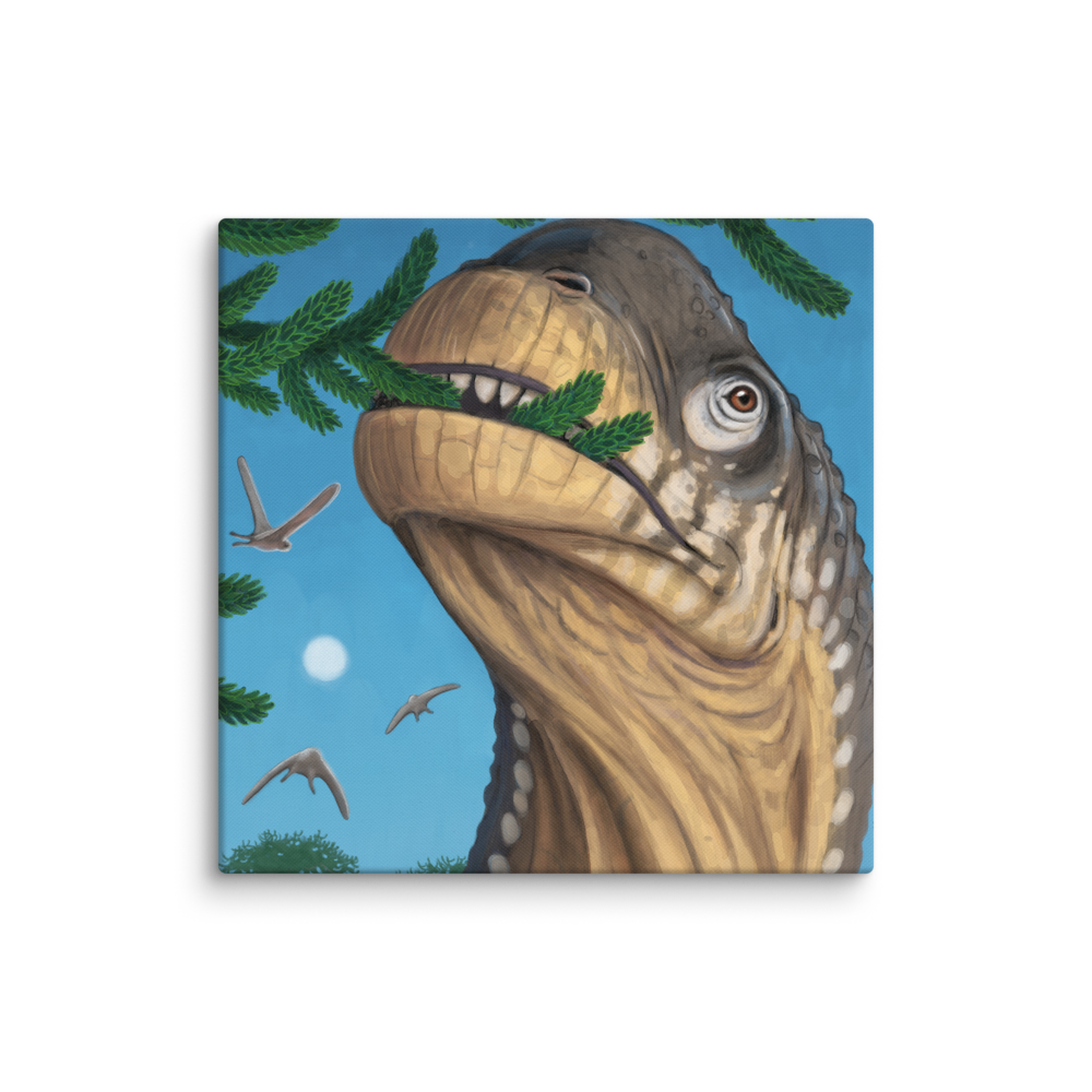 Camarasaurus Close-up — Canvas 20×20