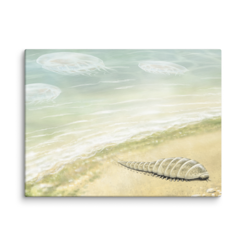 Euthycarcinoid, early land arthropod — Canvas 24×32