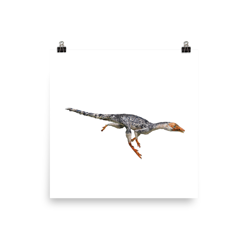 Ixalerpeton poster