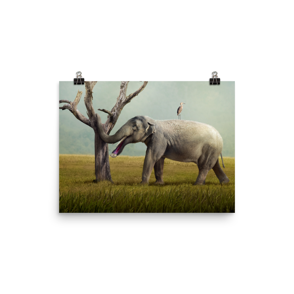 Platybelodon grangeri poster