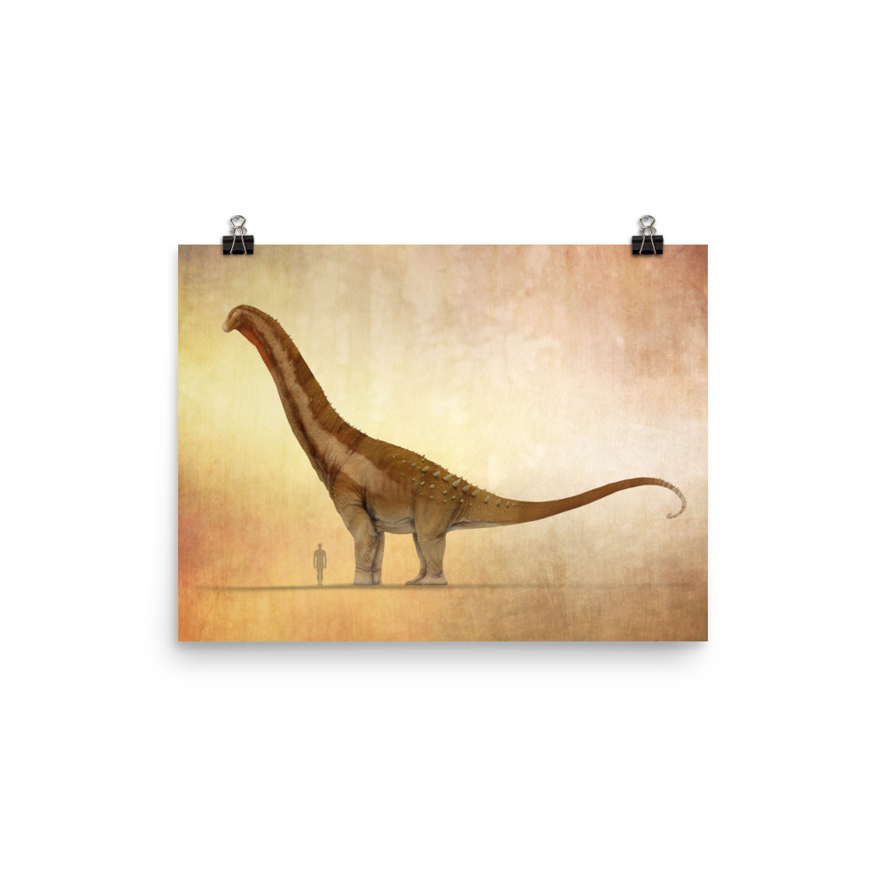 Alamosaurus sanjuanensis — Poster 12×16