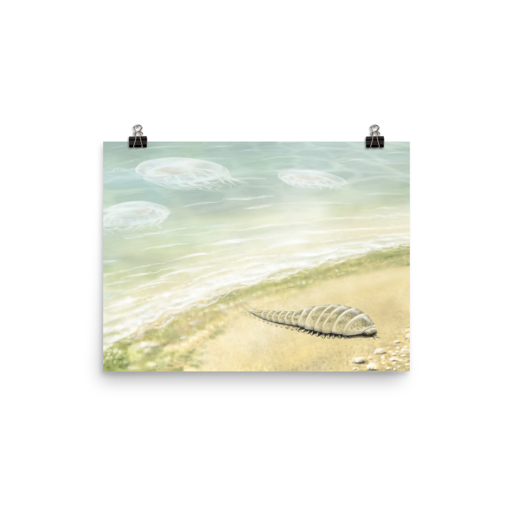 Euthycarcinoid, early land arthropod — Poster 12×16