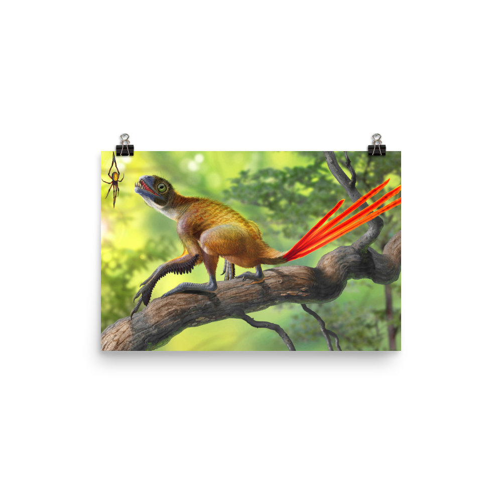 Epidexipteryx hui and Mongolarachne poster
