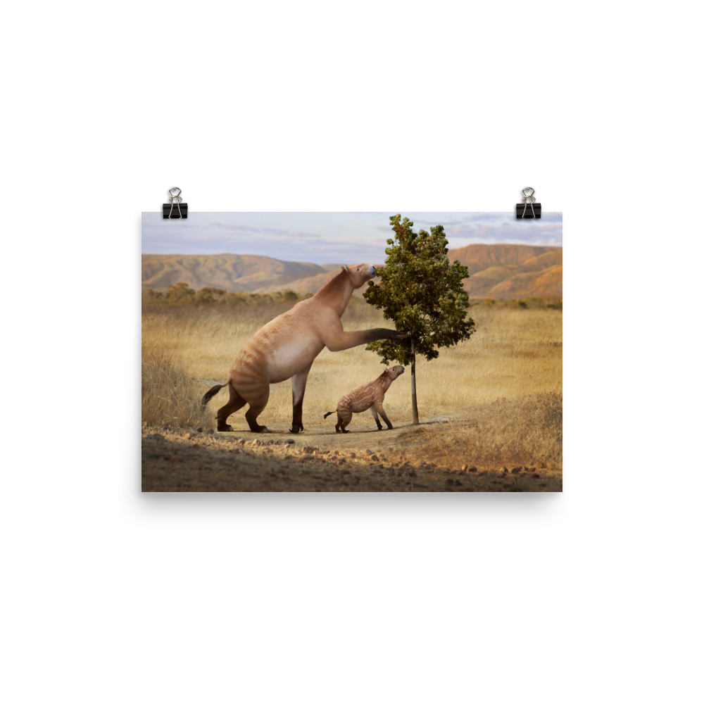 Chalicotherium sp. poster