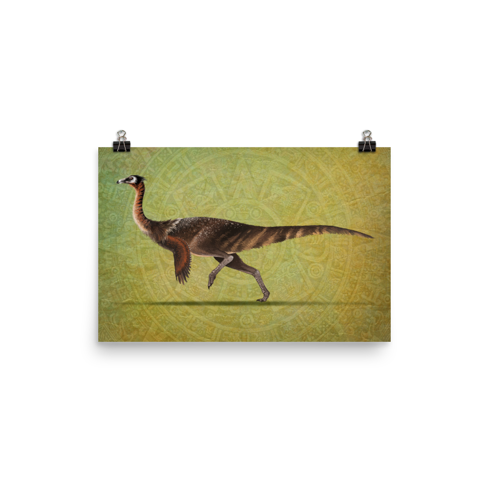 Saltillomimus rapidus poster
