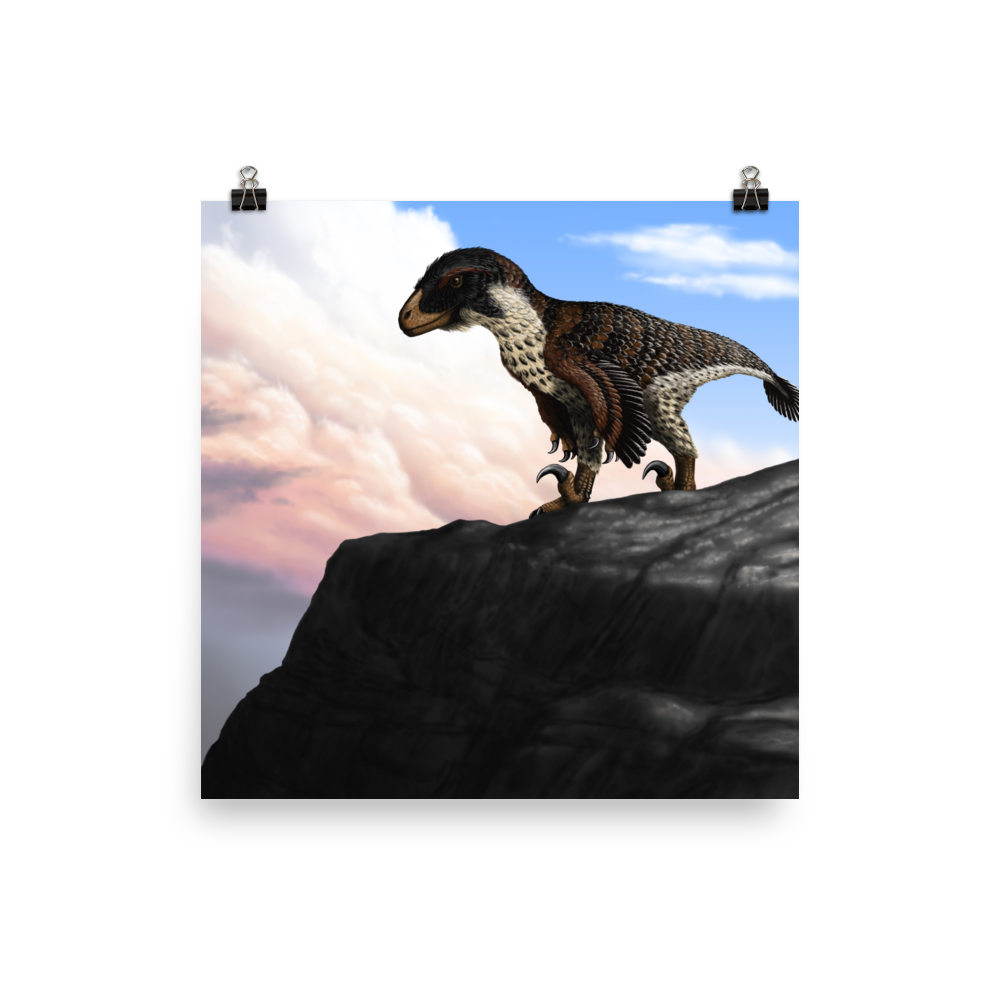 Dakotaraptor steini — Poster 16×16