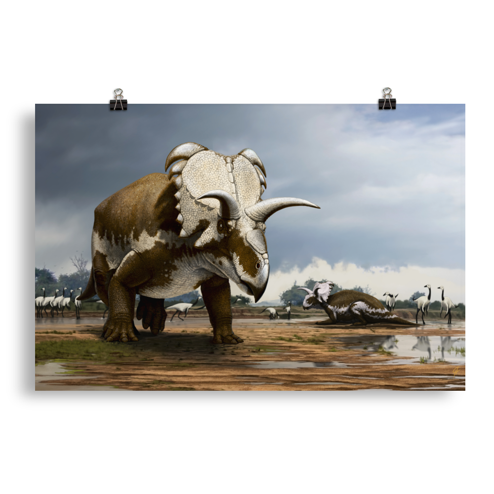 Medusaceratops — Poster 20×30