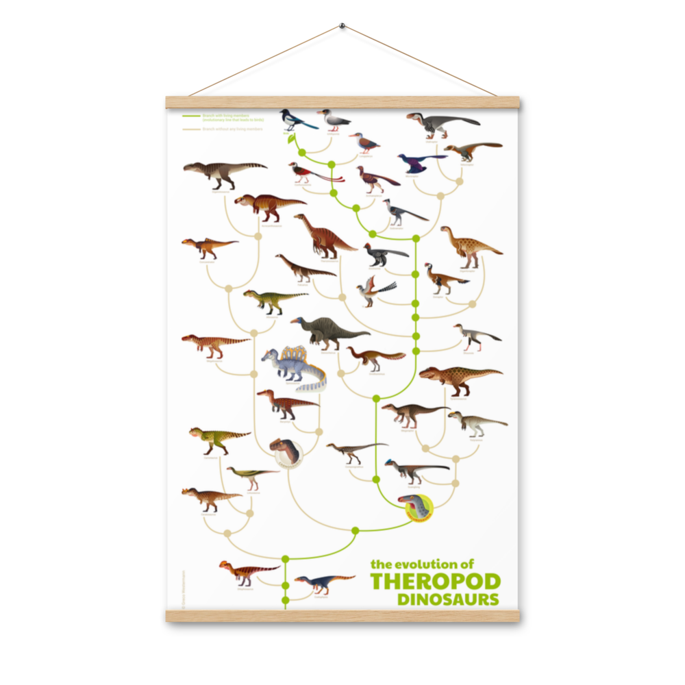 Evolution of Theropod Dinosaurs poster with hangers