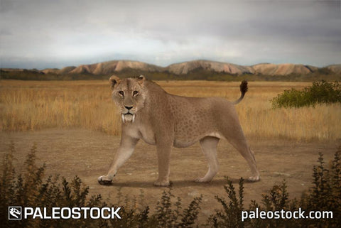 Smilodon fatalis stock image