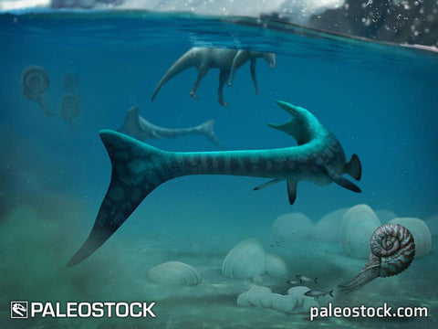 Tylosaurus stock image