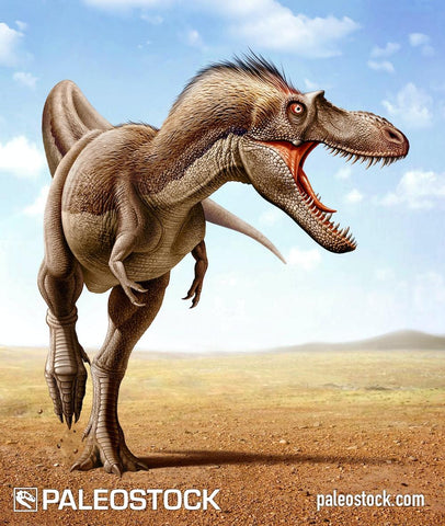 Gorgosaurus stock image