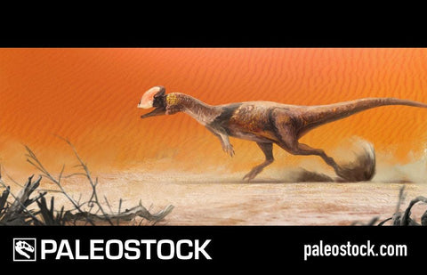 Dilophosaurus On The Run stock image