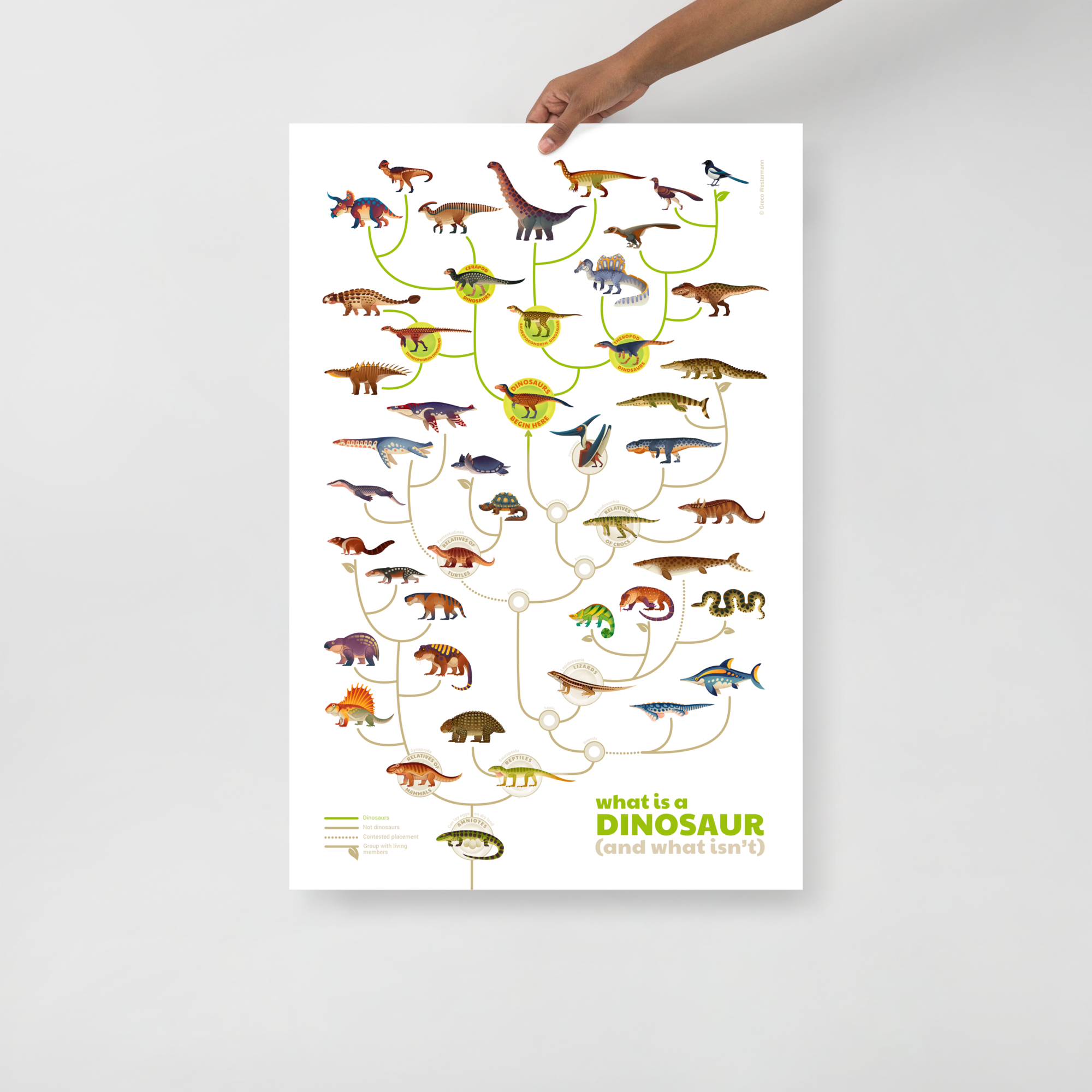 What is a Dinosaur poster – Studio 252MYA