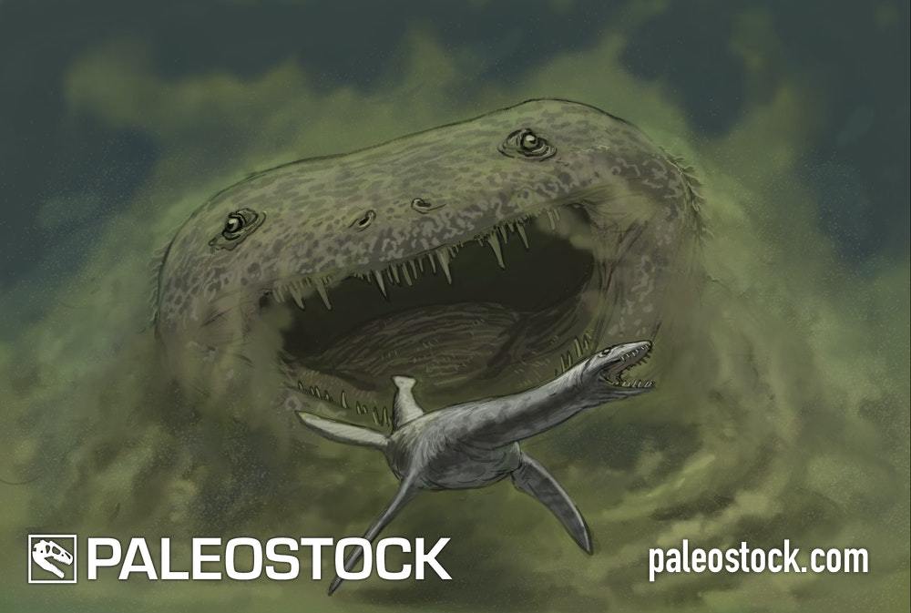 Siderops stock image Studio 252MYA
