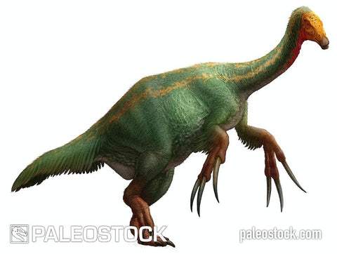 Therizinosaurus cheloniformis stock image