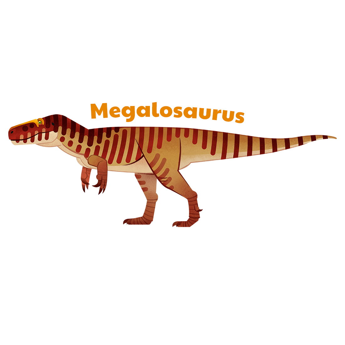 Megalosaurus t-shirt