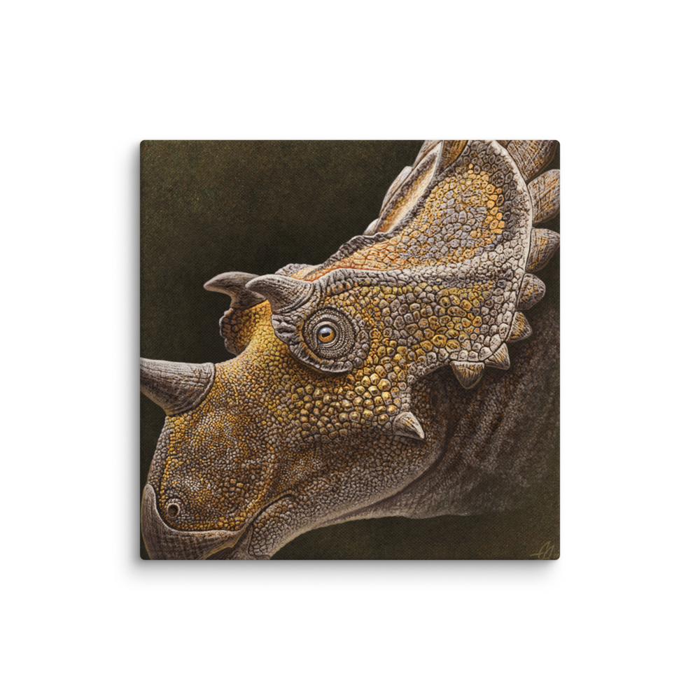 Regaliceratops — Canvas 12×12