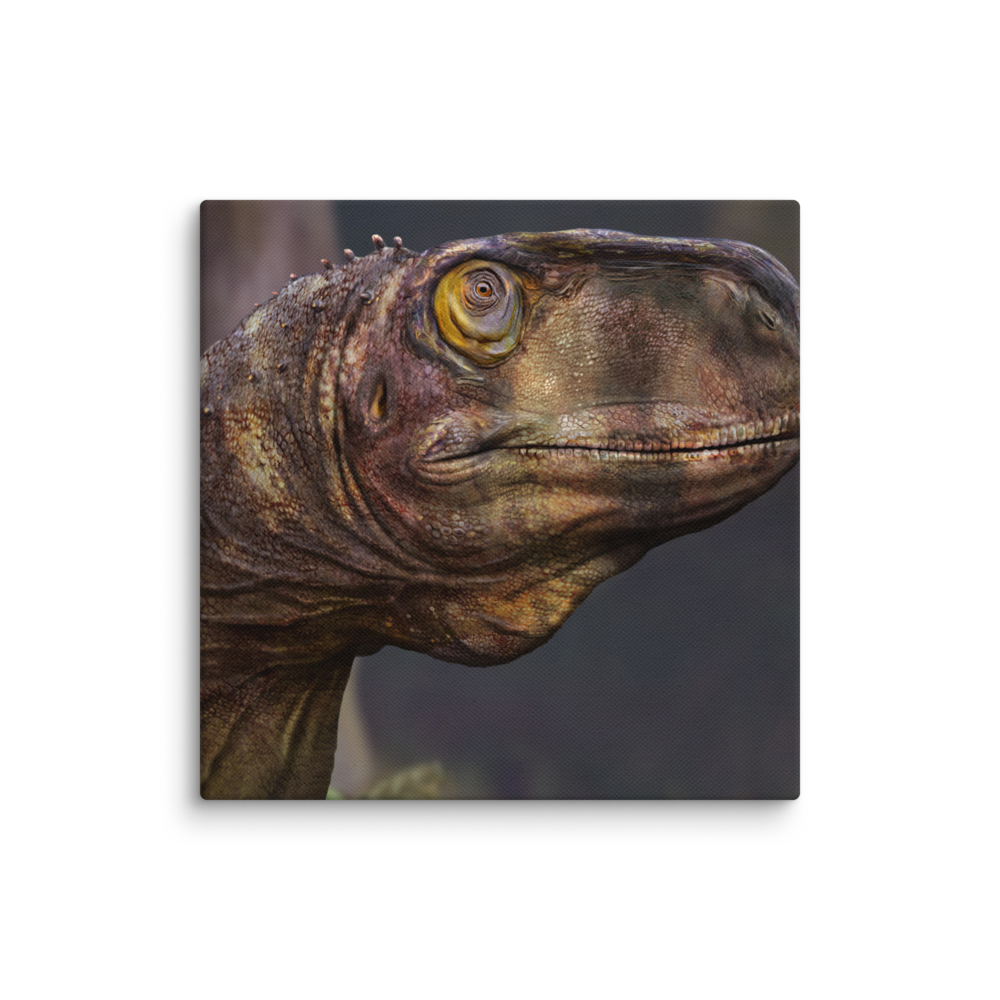 Llukalkan Head canvas