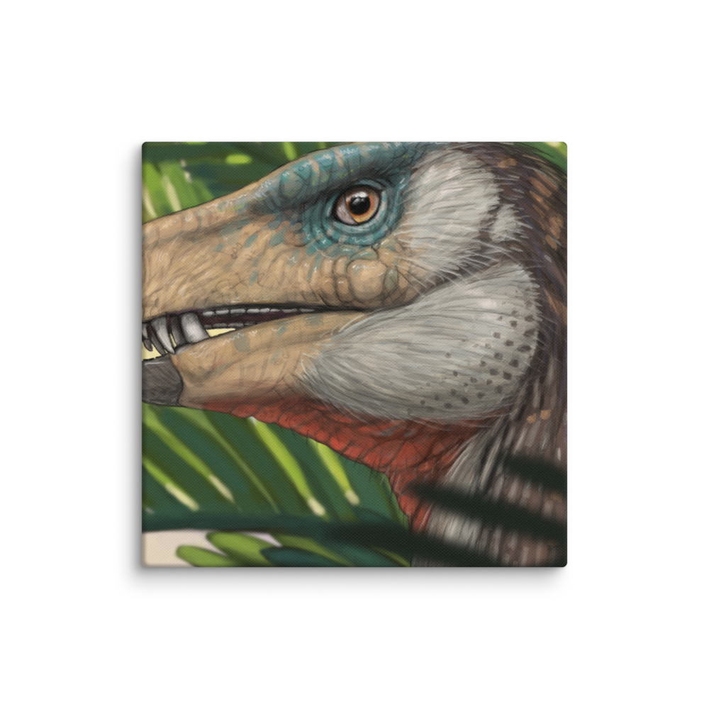Heterodontosaurus — Canvas 12×12